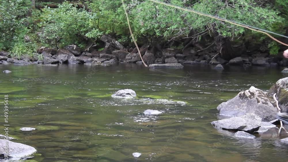 Pêcheur à la mouche dans un ruisseau qui effectue des lancé Pêcheur à la mouche dans un ruisseau qui effectue des lancé