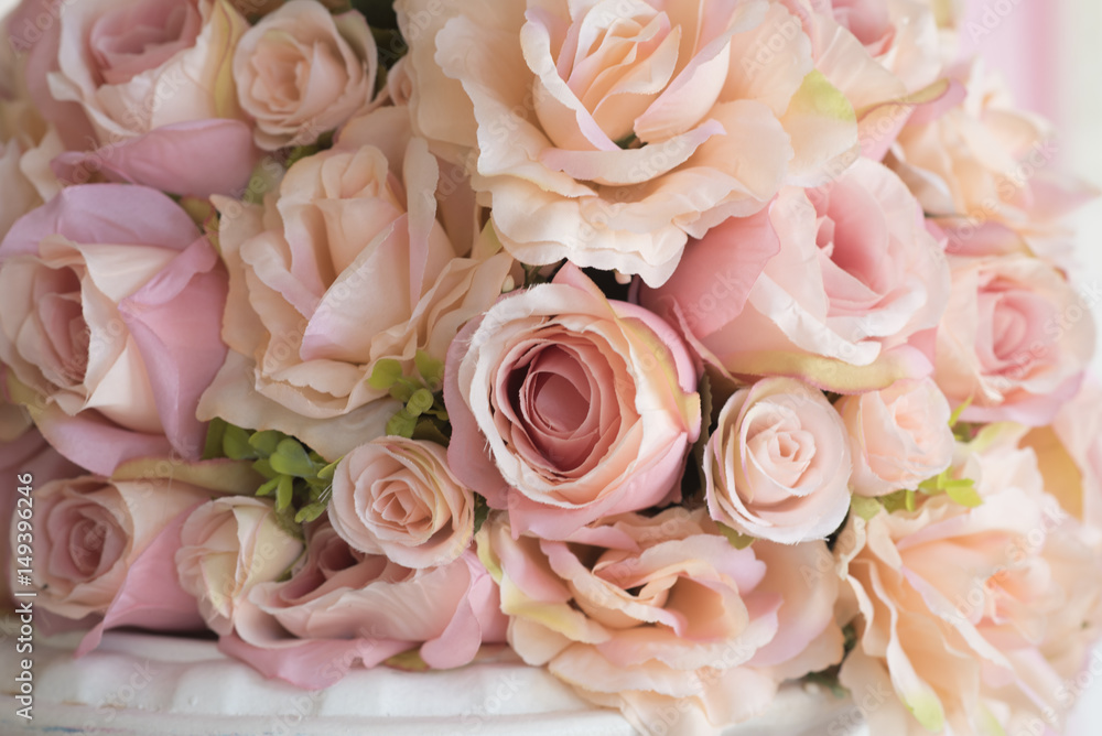 rose flower rose flower
