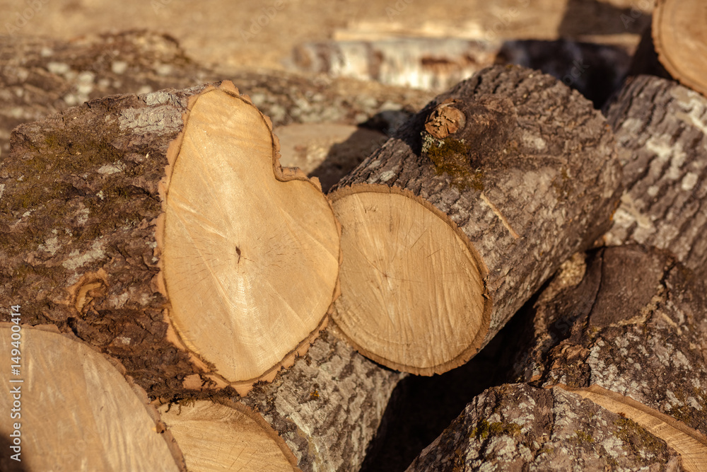 Birch log and billet Birch log and billet