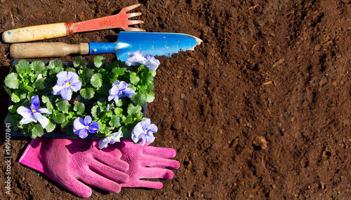 gardening tools and flowers on soil background