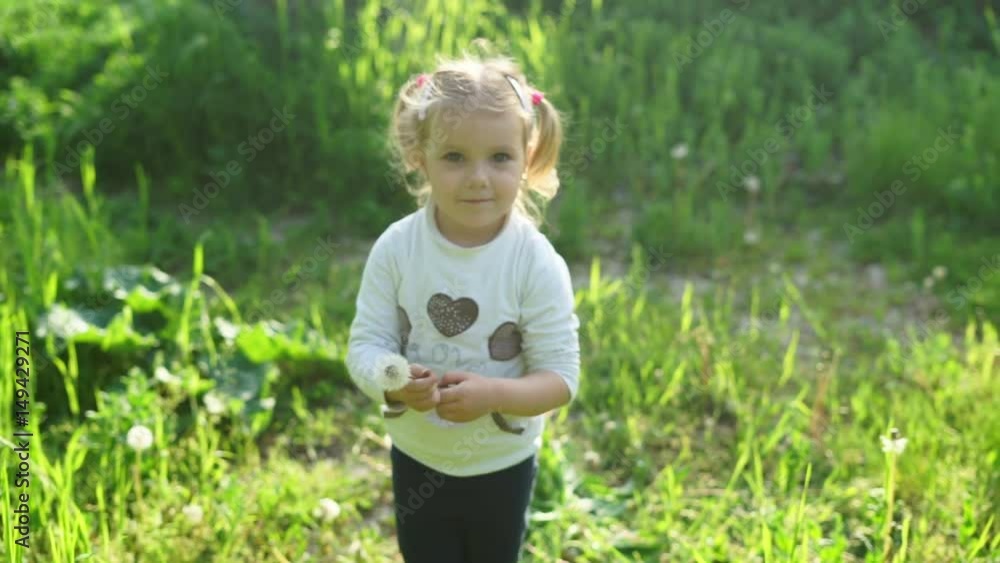small girl gives dandelion flower to us and looking at the camera small girl gives dandelion flower to us and looking at the camera