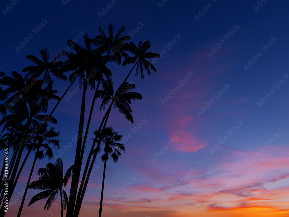 Silhouettes of palm trees against the sky. Tropical sunset background