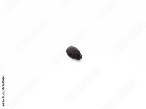 Watermelon seed on white isolated background