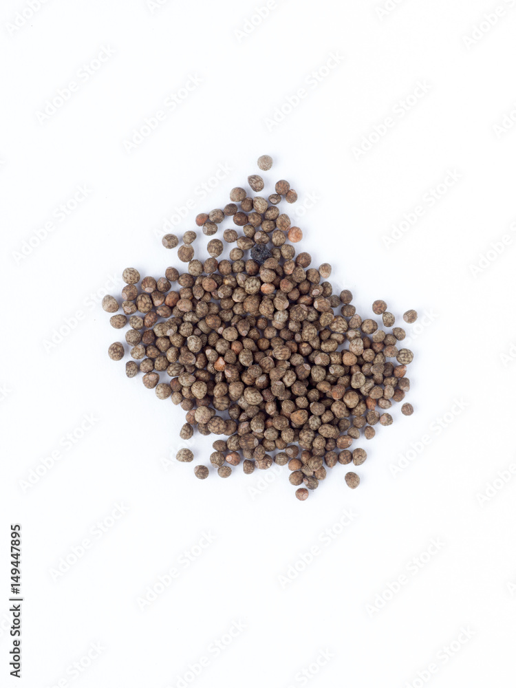 Perilla frutescens var. crispa also known as shiso seed on white isolated background
