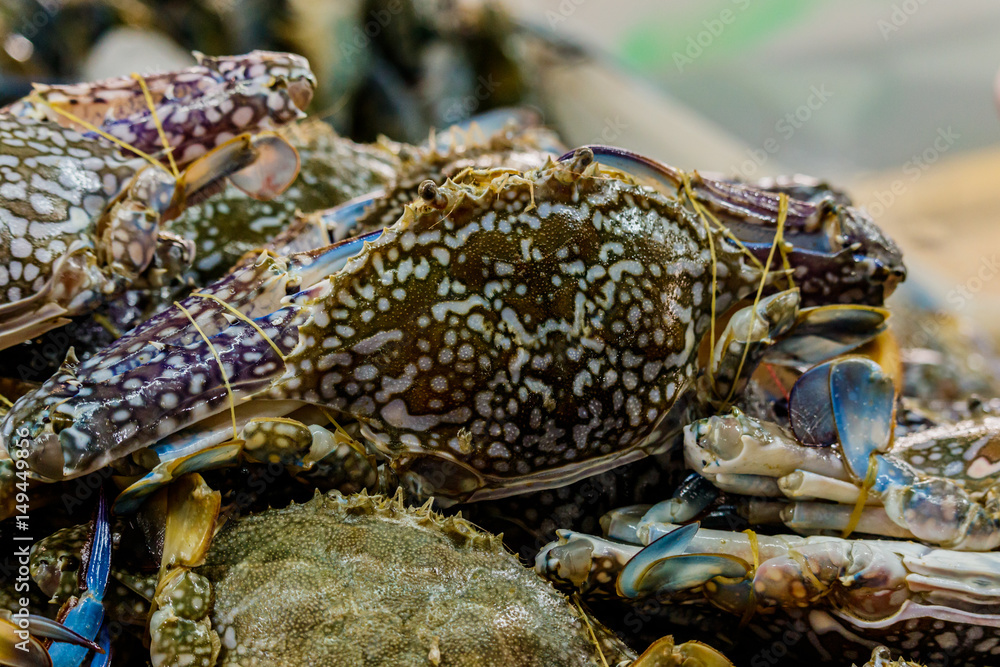 Fresh sea crabs are sold in local markets in Thailand. Fresh sea crabs are sold in local markets in Thailand.