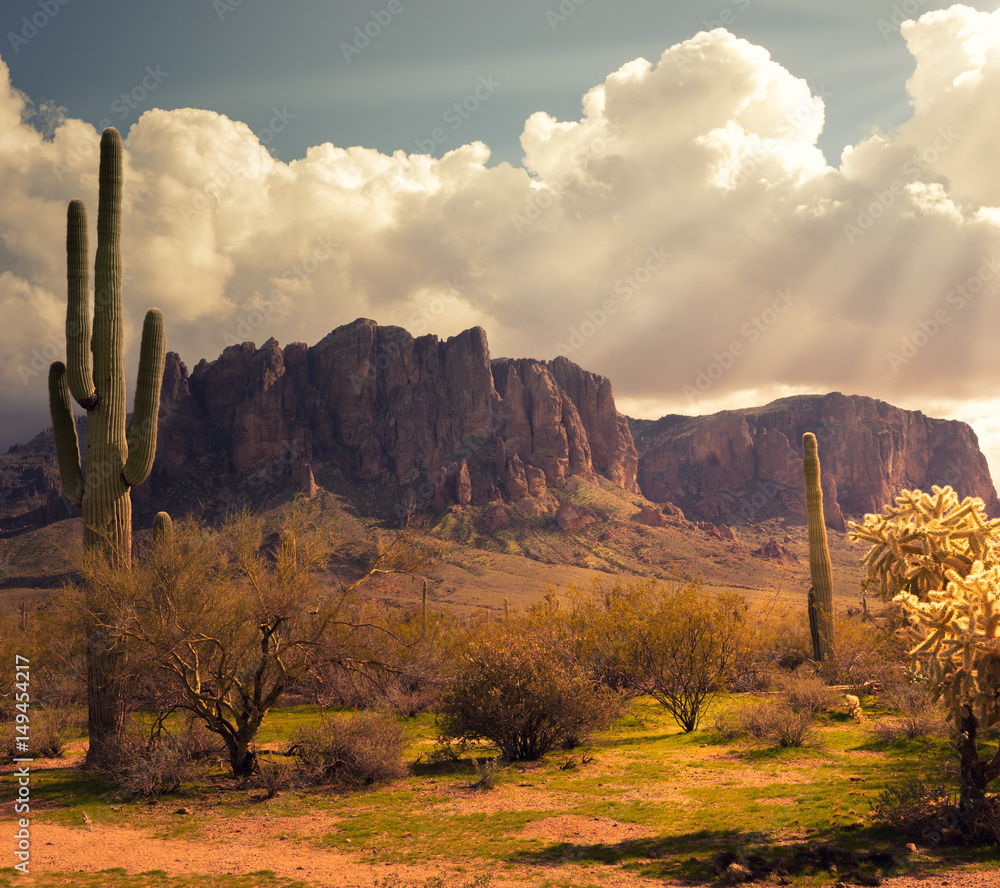 Arizona desert wild west landscape Stock Photo Adobe Stock