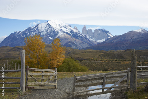 Autumn in Torres del Paine National Park in Patagonia, Chile. Mountain peaks of the central massif rising above colourful trees in the eastern edge of the park.