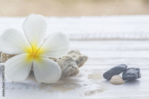 Tiare flowers corals and stones on white wood Sand background.