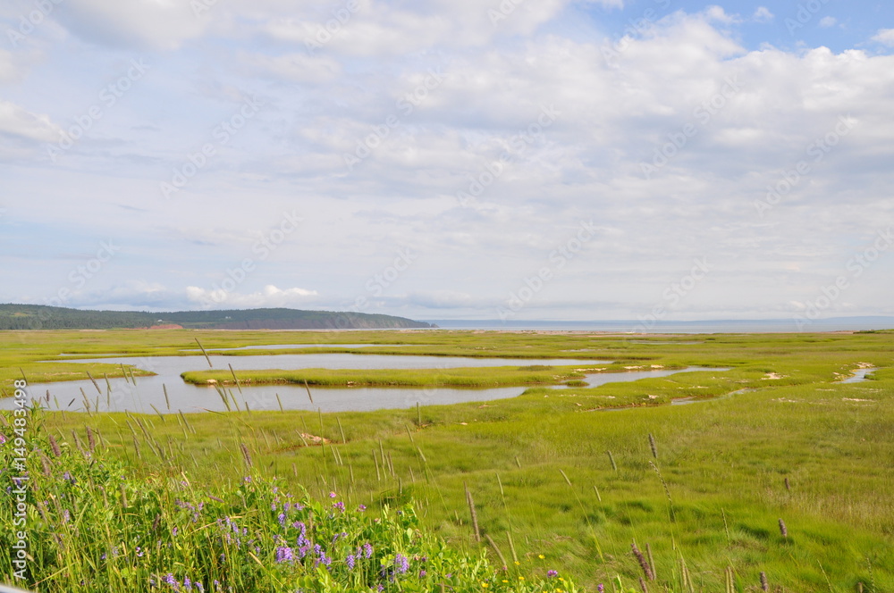 Fototapeta premium Field in New Brunswick