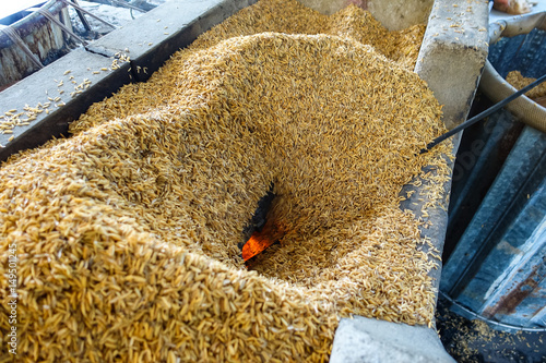 Fotografija The charcoal used by ancient husk of rice