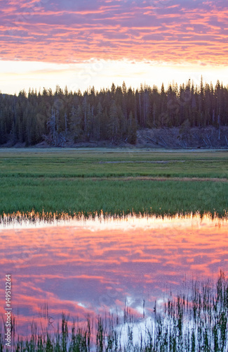 Pink Sunrise Dawn cloudscape over Pelican Creek in Yellowstone National Park in Wyoming USA © htrnr