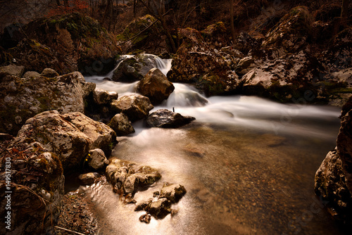 Little pond in forest