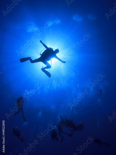 Fototapeta Naklejka Na Ścianę i Meble -  Scuba diving