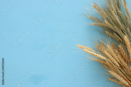 Fototapeta Naklejka Na Ścianę i Meble -  top view of wheat crop. Symbols of jewish holiday - Shavuot