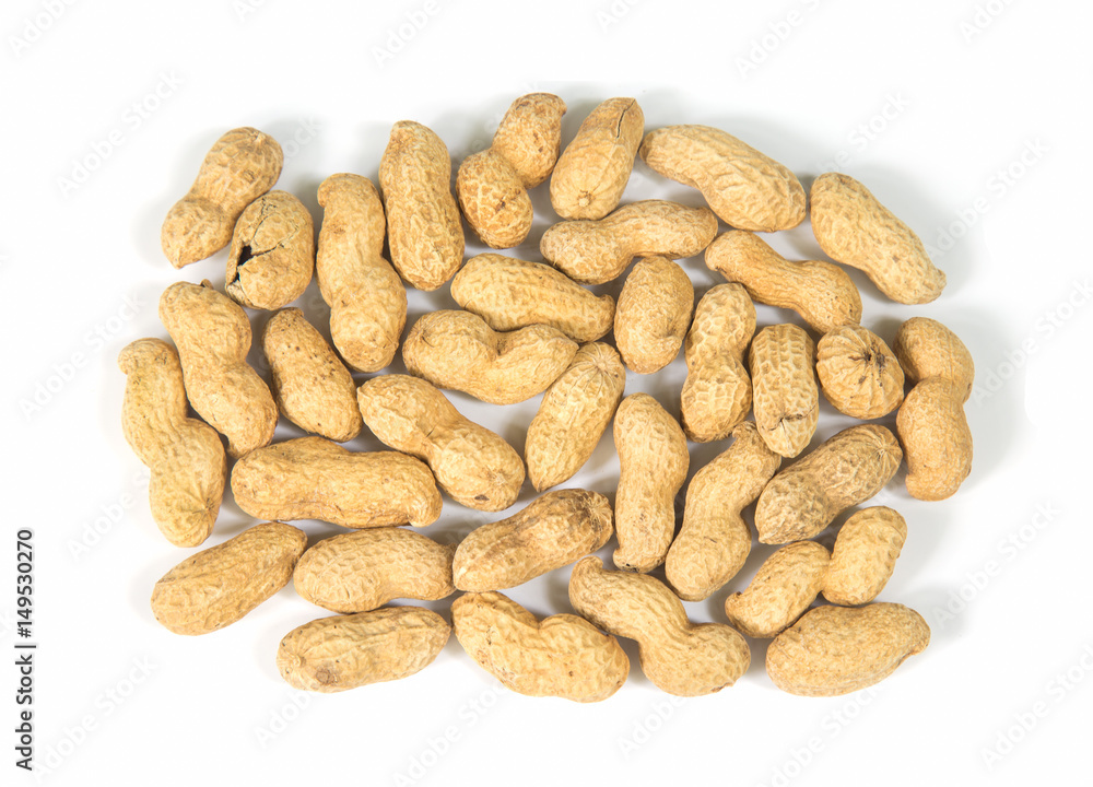 Dried peanuts isolated on white background. Dried peanuts isolated on white background.
