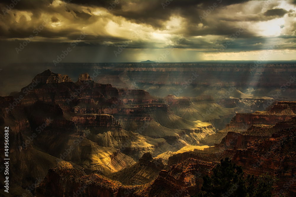 Summer Storm over the Grand Canyon's North Rim Summer Storm over the Grand Canyon's North Rim