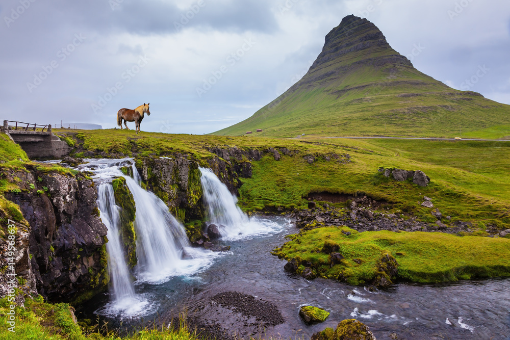 Fototapeta premium On the coast of powerful falls