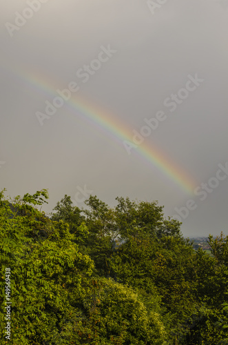 Fototapeta Naklejka Na Ścianę i Meble -  rainbow over the forest, view of a piece of rainbow over a green forest