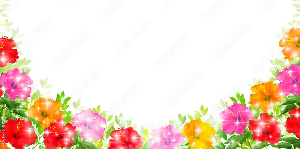 ハイビスカス 花 夏 背景 ハイビスカス 花 夏 背景