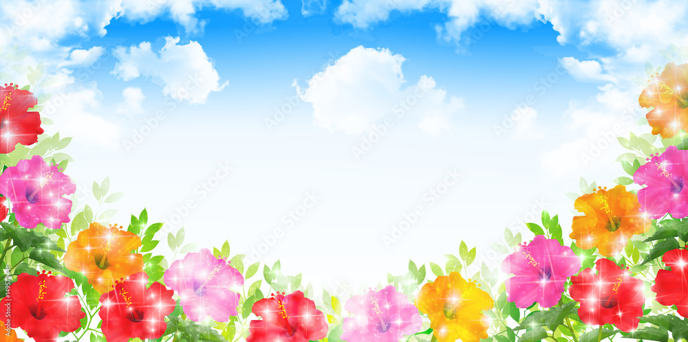 Obraz premium ハイビスカス 花 夏 背景