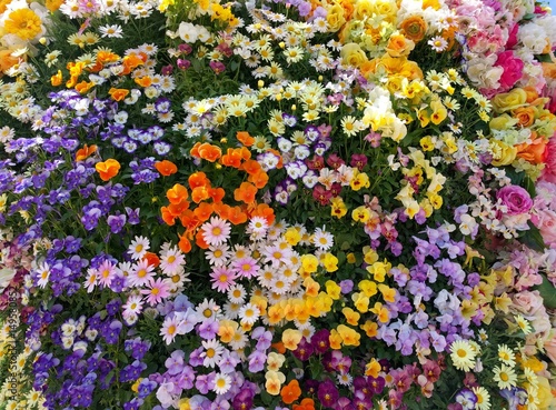 様々な花の春イメージ © kawa10