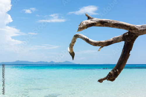 dry twig on space of beautiful tropical sea beach