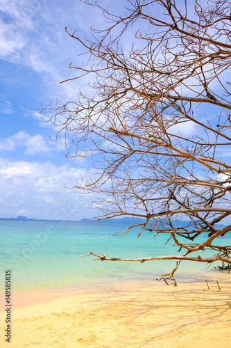 Scenic remote white sand beach on the tropical island in Thailand