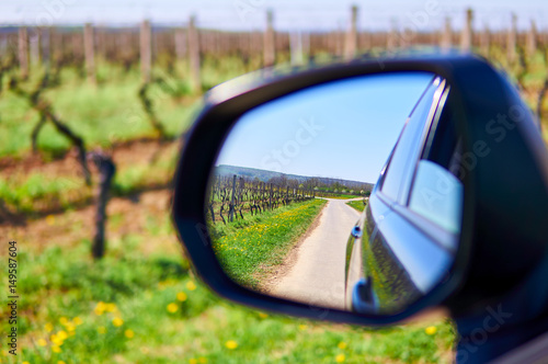 Vineyard and road view in mirror.