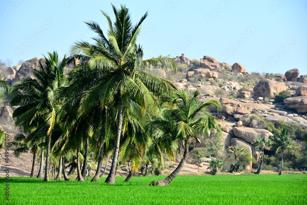 Fototapeta premium India Hampi