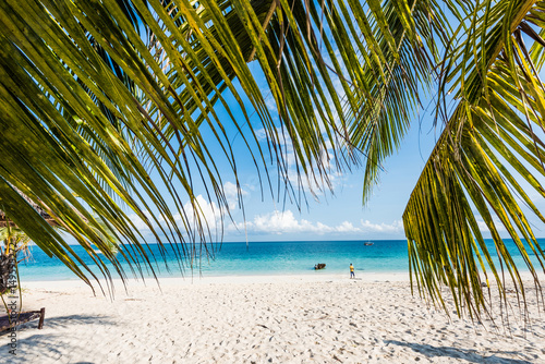 beautiful seascape with palm tree branches, beach and blue ocean © Ievgen Skrypko