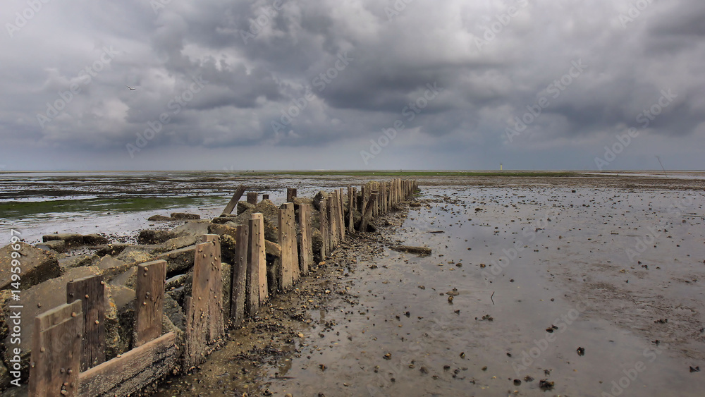 Texel Texel
