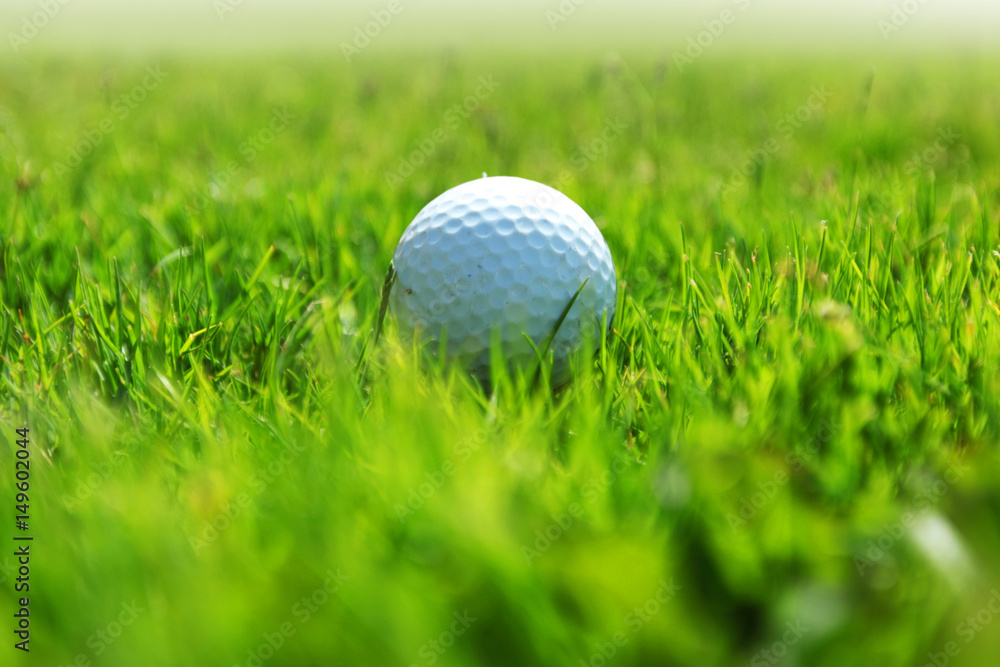 Obraz premium golf-ball on course