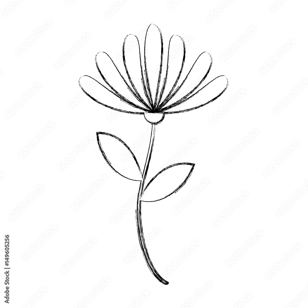 beauiful garden flower icon vector illustration design