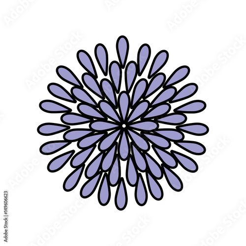 Fototapeta Naklejka Na Ścianę i Meble -  beauiful garden flower icon vector illustration design