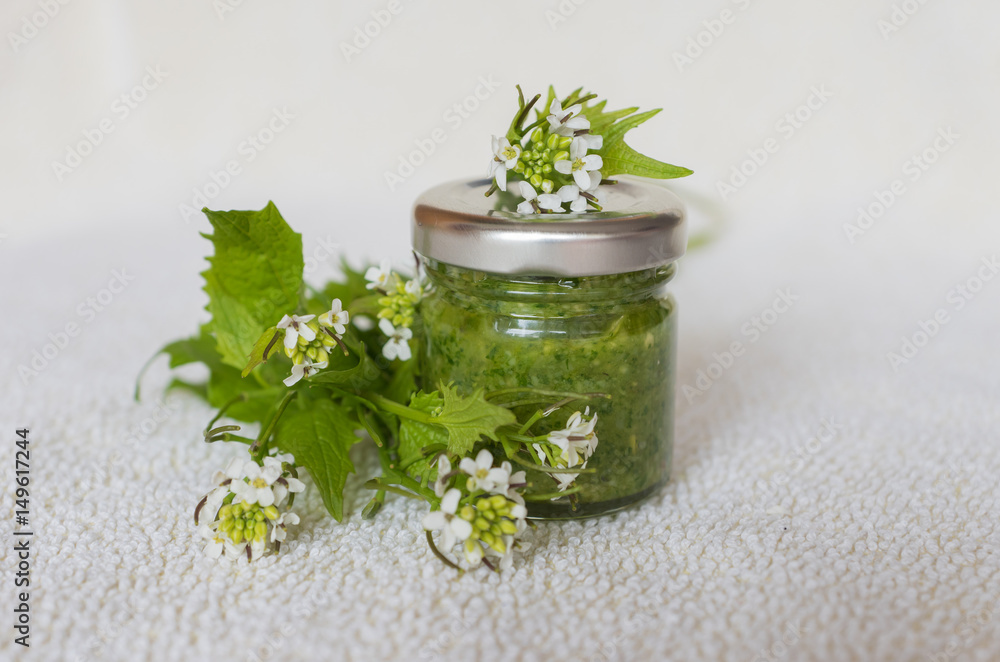 selbstgemachtes Pesto aus Knoblauchrauke