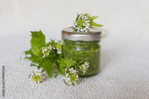 Obraz na płótnie selbstgemachtes Pesto aus Knoblauchrauke w salonie
