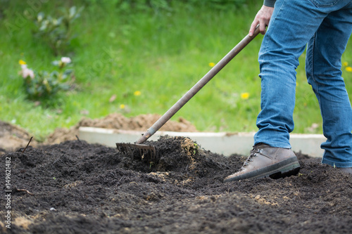 Man in garden working in flower bed with a rake