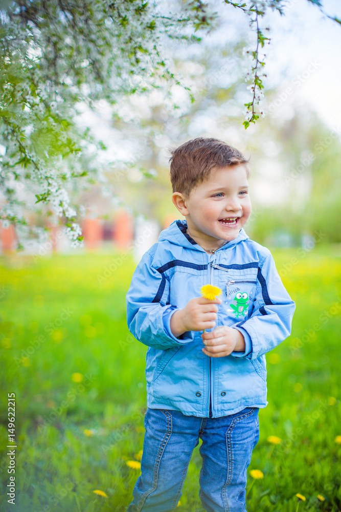 Beautiful little boy in blue jacket walking in park between blooming trees Beautiful little boy in blue jacket walking in park between blooming trees