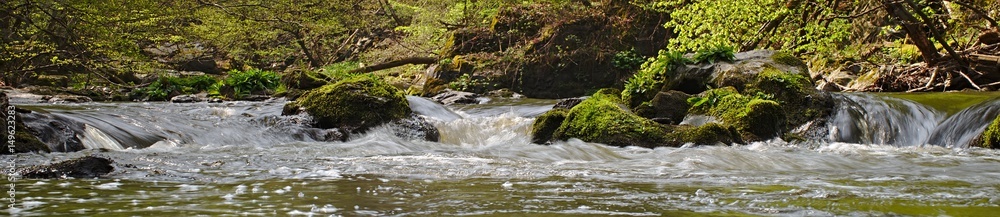 Fototapeta premium small mountain river creek