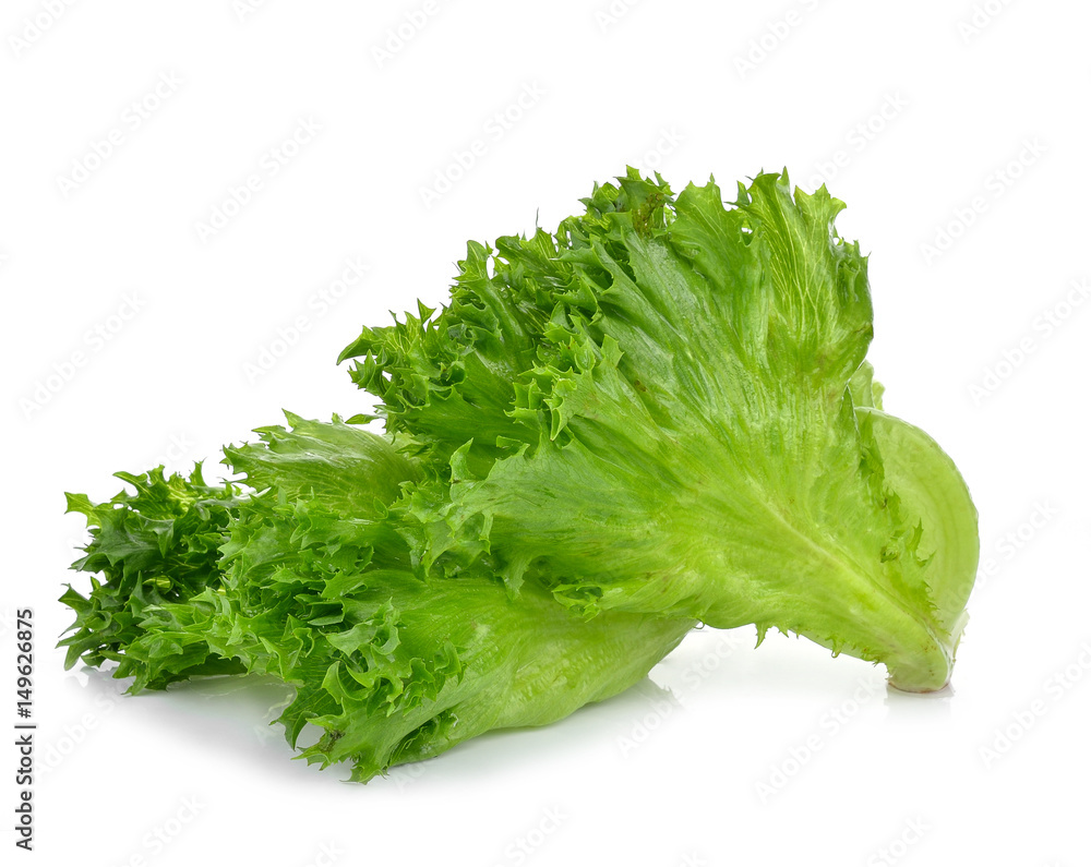 fresh green lettuce leaves isolated on white fresh green lettuce leaves isolated on white
