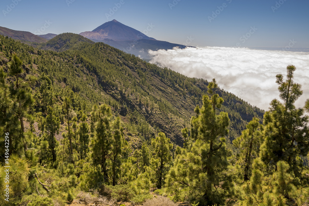 Fototapeta premium Teide volcano national park, Canary Islands, Spain