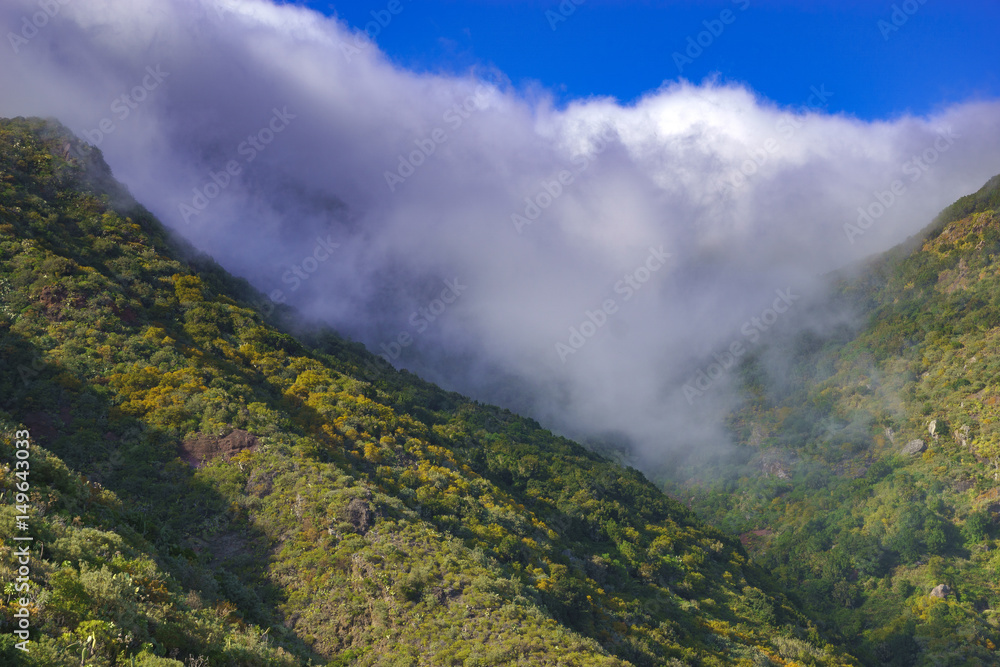 Mountains of Anaga, Tenerife
