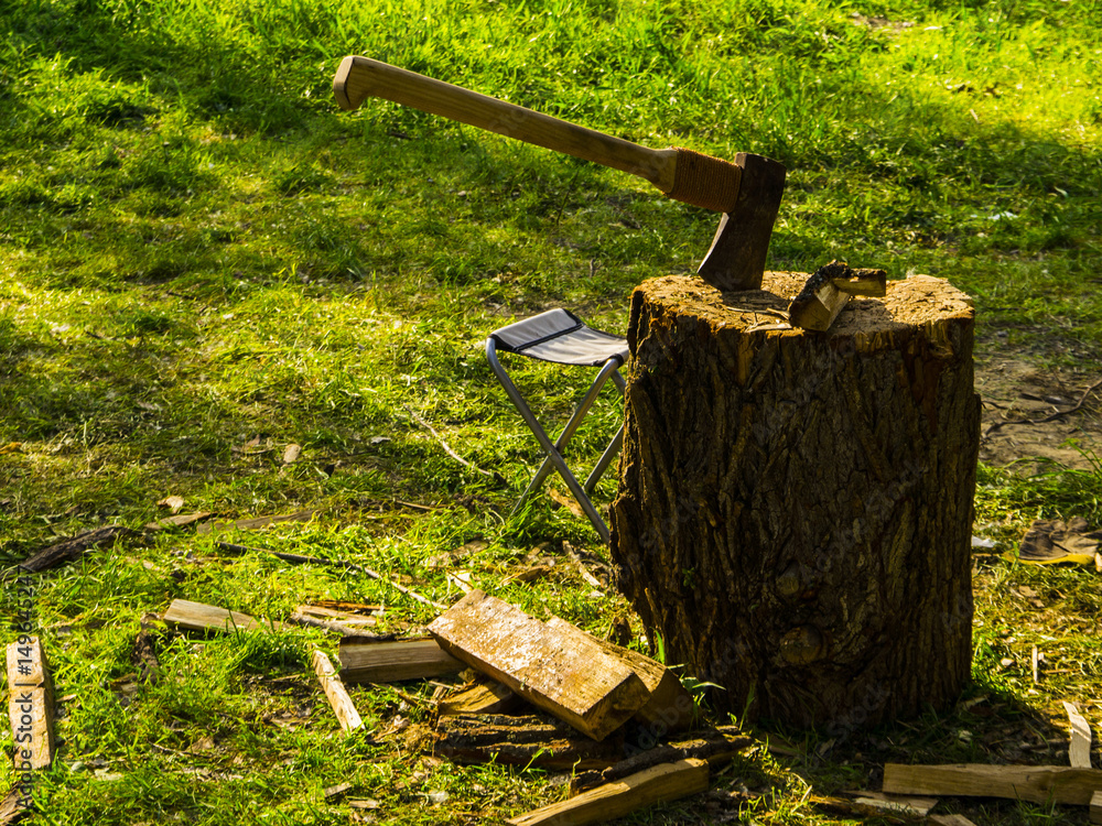 Fototapeta premium Ax stuck in a tree stump on the background of green grass