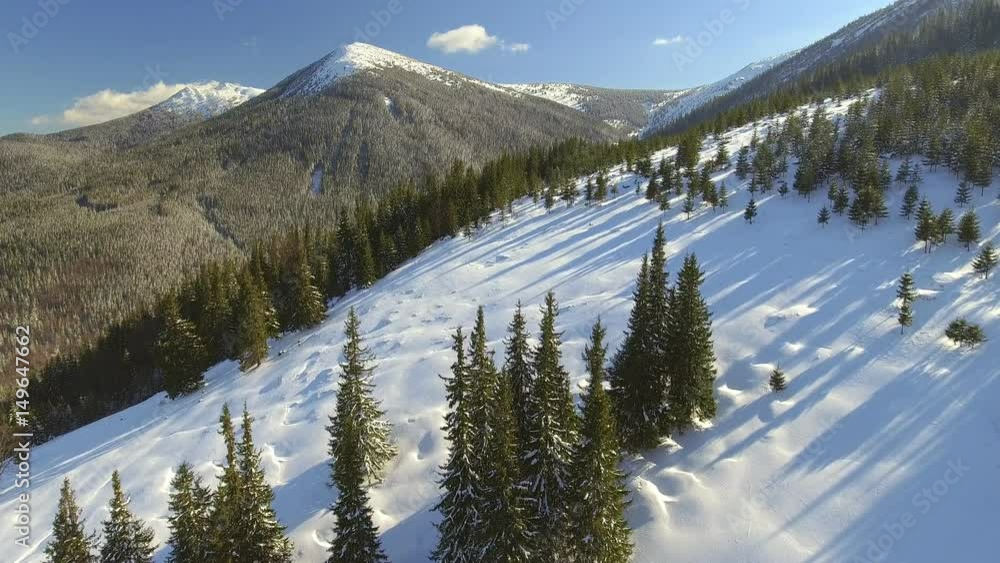 Aerial view. Beautiful snow landscape. Fly over trees covered with snow. Aerial view. Beautiful snow landscape. Fly over trees covered with snow.