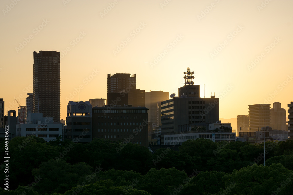 Fototapeta premium osaka city view