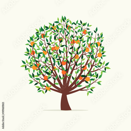 Vector Illustration of an Orange Tree. Flat Design Style. 