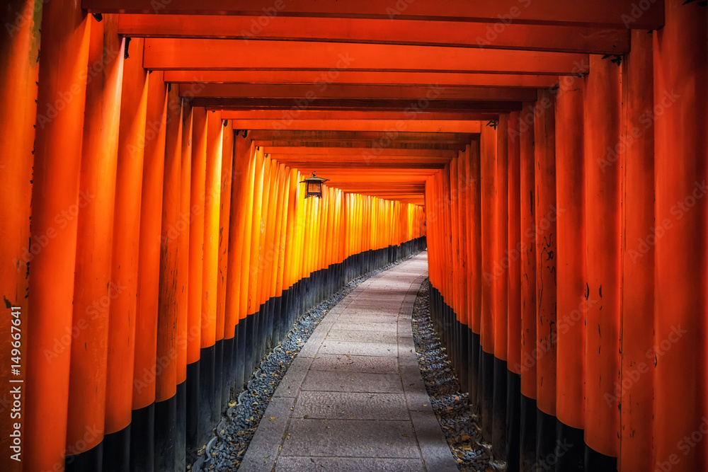 Obraz premium fushimi inari taisha gates