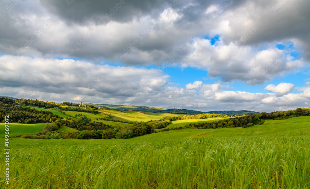 Fototapeta premium Scenic view of the countryside near Volterra, Tuscany, Italy