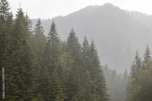 Landscape of the forest and mountains with rain