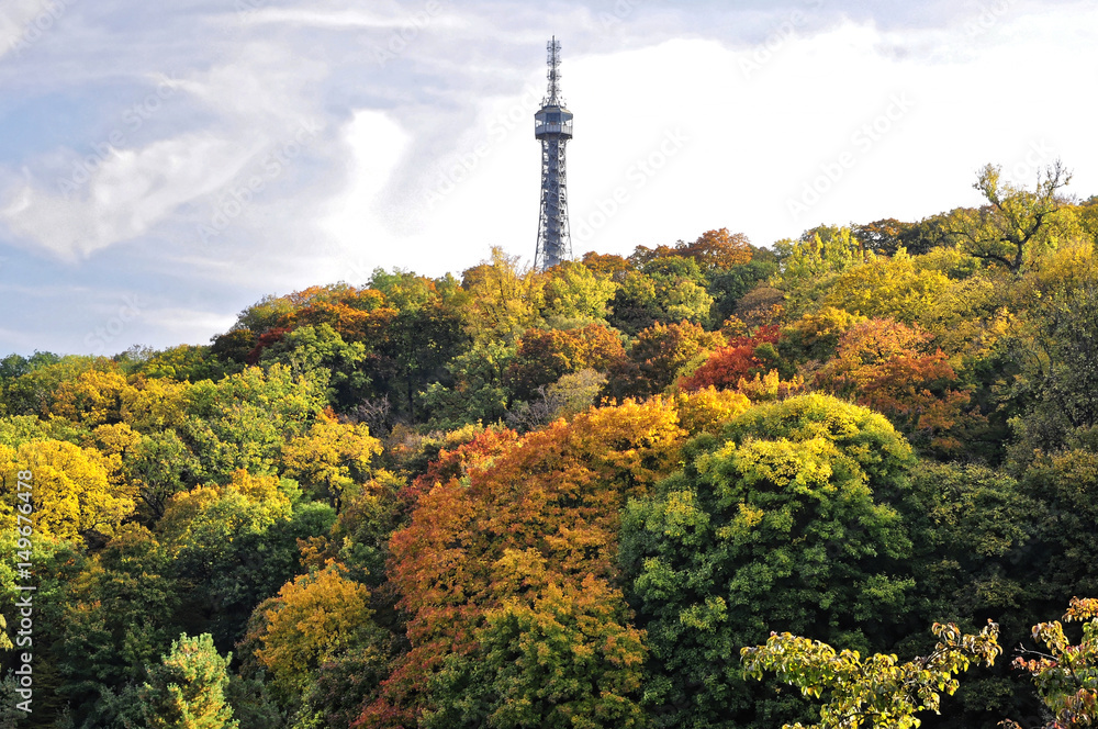 Obraz premium Tower in between the colourful trees